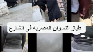 سكس مصري 3 مقاطع فيديو تصوير طياز النسوان المصريه فى الشارع
