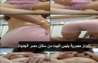 سكس نودز مصرى