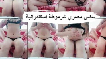 سكس مصري شرموطة اسكندرانى